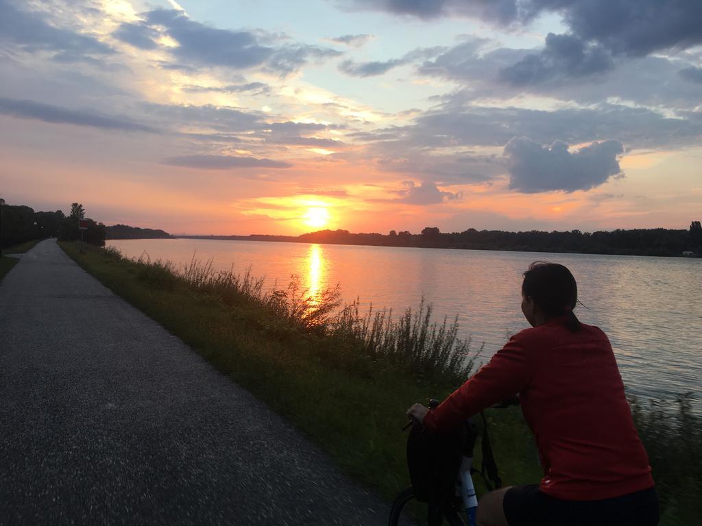 Donaupark Camping Tulln Tulln An Der Donau Luaran gambar