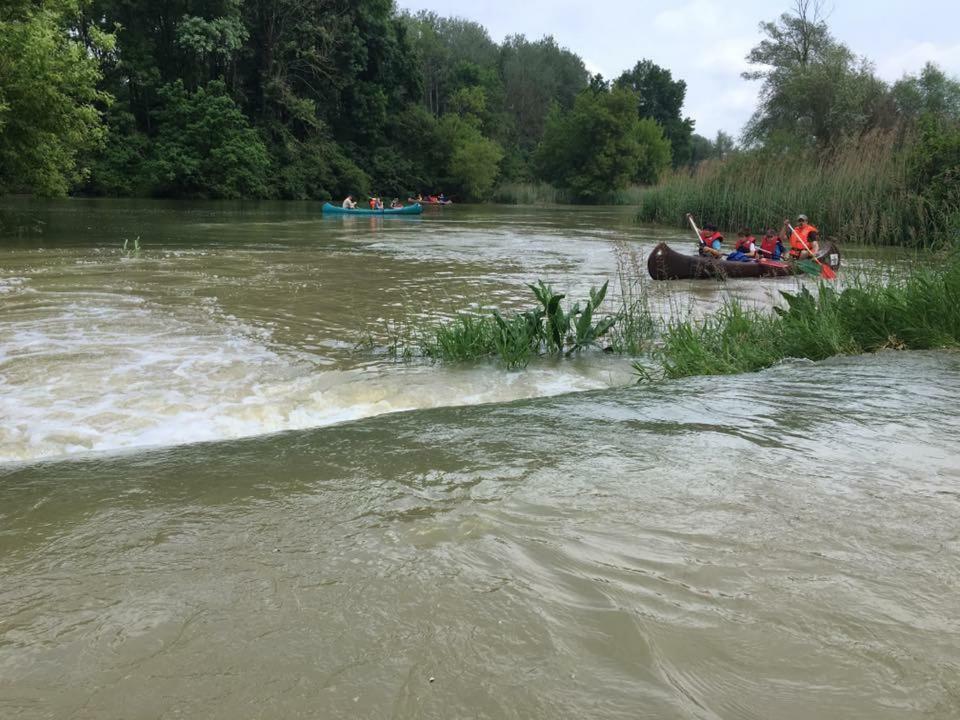 Donaupark Camping Tulln Hotel Tulln An Der Donau Luaran gambar